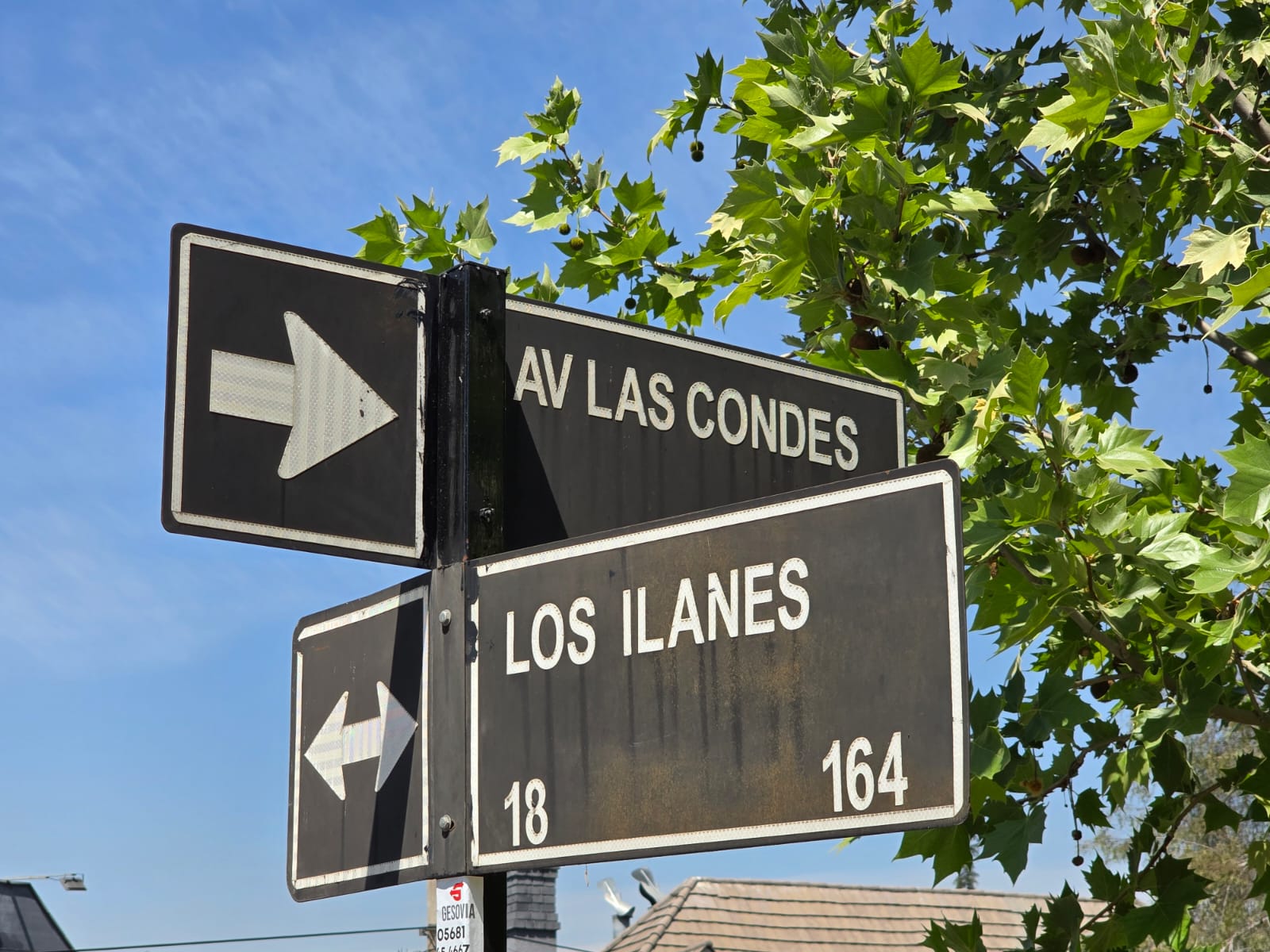 WhatsApp Image 2025-01-09 at 16.08.02